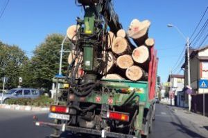 Şi Poliţia Argeş ne comunică – Rămânem fără păduri… legal!