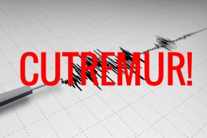 Un nou cutremur produs astazi in zona seismica Vrancea!