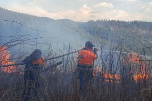 În jur de 200 de oameni au muncit la stingerea a şase incendii care ameninţau pădurea