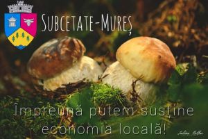 Platformă de intermediere între producătorii şi cumpărătorii din Harghita – Târgul Subcetăţii