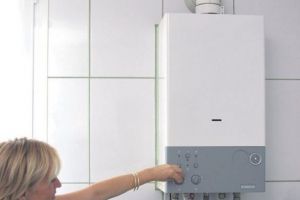 VIDEO Centralele termice de apartament dispar şi este obligatorie contorizarea individuală la blocurile noi