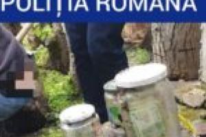 Banii furaţi de la o casă de schimb valutar din Caransebeş, ascunşi în borcane de sticlă îngropate în pământ?!