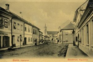 Nu vom avea la intrările în oraş panouri cu ”Nösa, Bistriţa, Bistritz, Beszterce”