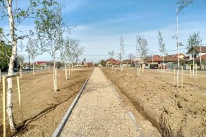 Ritm redus: Forţată să facă economii, Primăria Oradea amână modernizarea Parcului Petőfi şi reduce frecvenţa salubrizării