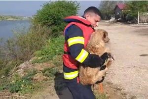 Judetul Constanta. Alerta la pompieri. Unde intervin acum. Ce s-a intamplat (galerie foto) 
