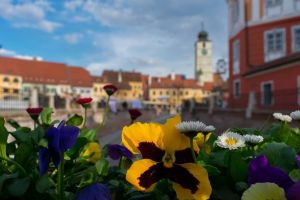 Cum va fi vremea în luna mai – Ce spun meteorologii
