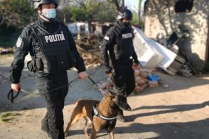 Poliţia în acţiune! Sancţiuni în valoare de 75.000 lei, în judeţ, într-o singură zi