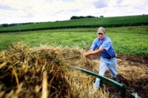 Programul pentru angajarea tinerilor în agricultură beneficiază în acest an de un milion de lei