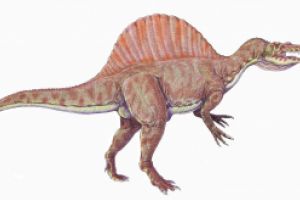 Oamenii de ştiinţă au descoperit prima specie de dinozaur înotător