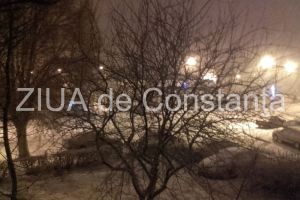Copac prabusit peste un Mercedes. Primaria Constanta, buna de plata in instanta