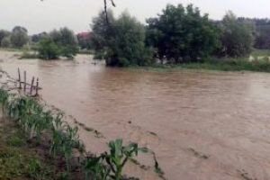 Cod galben hidrologic în Maramureş