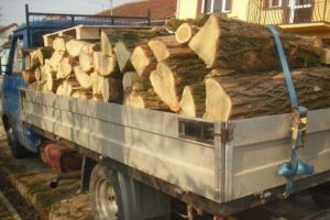 Prinşi de poliţiştii din Botoşani în timp ce încercau să vândă lemne ilegal. Și amendă luată, şi marfa confiscată