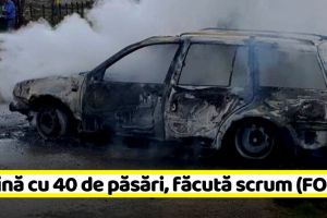 NEAMȚ: Maşină cu 40 de păsări, făcută scrum (FOTO)