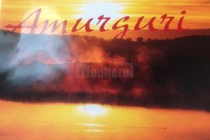 La aproape 89 de ani, profesorul Ilie Ibănescu – Anemone a mai publicat un volum de poezie