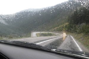 COD PORTOCALIU DE FURTUNĂ ÎN ARGEŞ