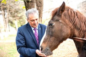 Ministrul Marcel Vela anunta adoptarea a cinci animale care au fost in serviciul public