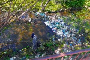 Amenzi mai mari la Cugir pentru nerespectarea măsurilor ce privesc salubrizarea oraşului şi protecţia mediului înconjurător