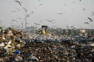 ADIo Ecolect: Primăria Borş vrea să iasă din sistemul integrat de colectare a deşeurilor
