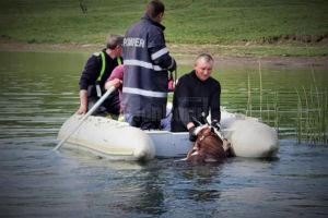 Pompierii au salvat o viţică din lacul de la Rogojeşti
