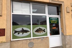 Reduceri la magazinul de peşte Piscicola din Satu Mare