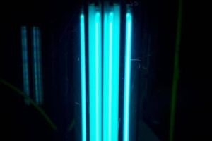„Roboţi” de dezinfecţie pentru spitalele din Timişoara. Primăria a plătit 9.000 de euro pe cinci bucăţi