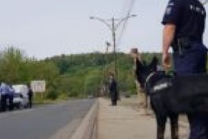 Plimbările inutile şi lipsa declaraţiilor pe proprie răspundere s-au lăsat cu sancţiuni weekendul trecut în Caraş-Severin