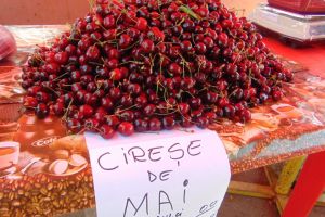 Au apărut cireşele! Se vând la bucată, la preţuri astronomice!