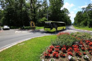 Modificări pe mai multe trasee Tursib din cauza lucrărilor de pe Calea Cisnadiei