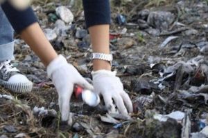Amenzi de aproape 700.000 lei aplicate de comisarii Gărzii de Mediu, în Timiş, de la începutul anului
