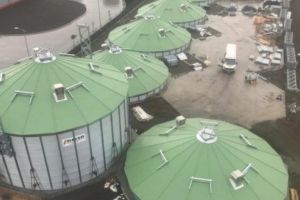 Traderul de cereale East Grain îşi face silozuri la Sânpaul