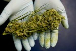 Tânăr arestat preventiv pentru trafic şi deţinere de droguri