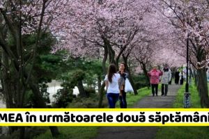 METEO: Cum va fi VREMEA până pe 17 mai