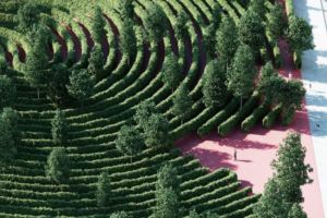  ”Parc de la Distance” sau parcul labirint creat pentru distanţarea socială