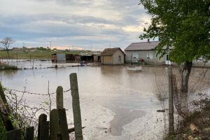 Inundatii in Cogealac. Pompierii au intervenit pentru a scoate apa dintr-o gospodarie (galerie foto)