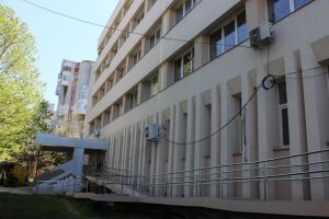Platani, tei si stejari rosii americani, aclimatizati la Braila vor fi plantati in fata Policlinicii nr.2 din municipiu (documente) 