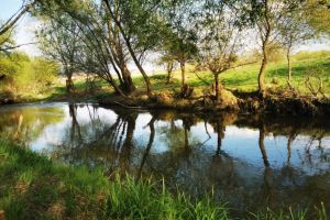 FOTO: Malurile Cibinului transformate de mai mulţi sibieni într-un colţ de rai