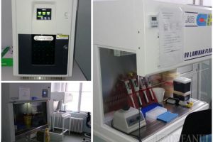 Bolojan: Angajaţii firmelor vor putea fi testaţi pentru coronavirus contracost. Oradea are un al treilea aparat PCR, dintr-o donaţie RCS&RDS (FOTO)