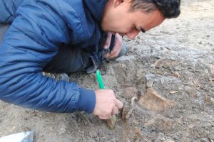 Mormânt colectiv descoperit în Timişoara, de pe vremea epidemiei de ciumă