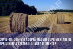 CE adoptă un pachet de măsuri pentru a oferi mai mult sprijin sectorului agroalimentar