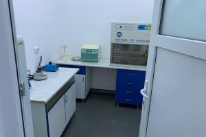 În jur de 120 de teste au fost lucrate în laboratorul RT-PCR din sediul DSV/ Un singur rezultat a fost pozitiv