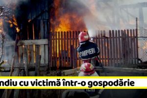 Incendiu cu victimă într-o gospodărie din Neamţ
