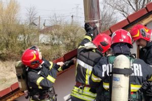 Pompierii militari harghiteni în misiune: salvarea unui cal blocat pe o cale ferată, stingerea unui incendiu