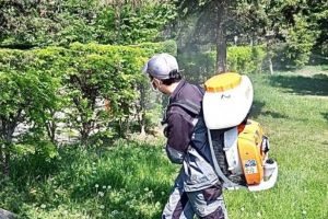 Constanta. Continua actiunile de dezinsectie. Unde se va actiona 