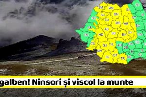 METEO: Cod galben de ninsori şi viscol în zona de munte. Avertizare de ploi şi vânt în restul ţării