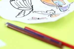 Înscrierea copiilor la grădiniţă se poate face prim e-mail, telefon sau fax. Calendarul şi procedura aprobate de Ministerul Educaţiei