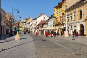 Iohannis: „România va ieşi cu bine din criză. Restaurantele, deschise gradual”