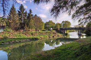 Apele râului Bistriţa Ardeleană, curate timp de aproape două luni şi pline de peşti. Cum a fost posibil