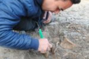 Mormânt vechi de secole, descoperit la Timişoara! Arheologii cred că datează de pe vremea epidemiei de ciumă!