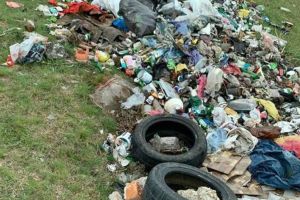 Gunoi aruncat pe spaţiul verde, la Buziaş. Primarul propune creşterea amenzilor de cinci ori