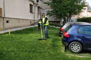 Lucian Harşovschi: “S-a reluat activitatea de tuns/cosit a spaţiilor verzi din municipiul ...